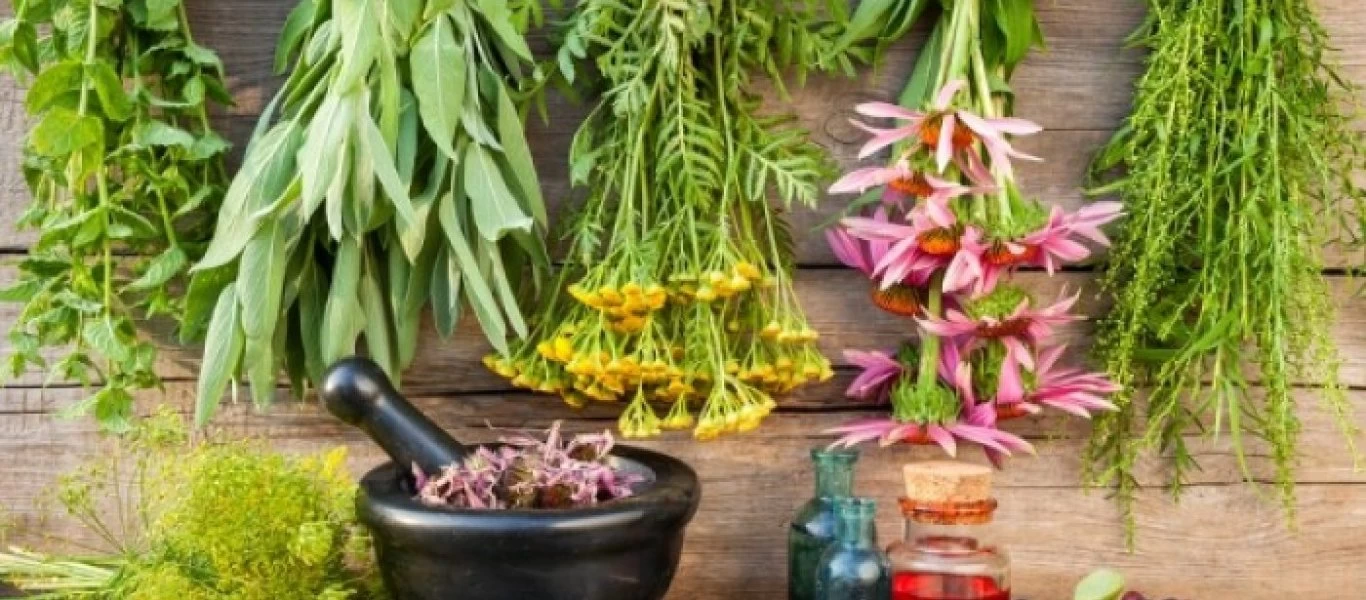 Τα βότανα που μειώνουν την πίεση του αίματος και βοηθούν στη ρύθμιση της υπέρτασης